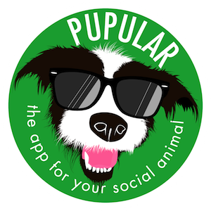 Pupular Logo